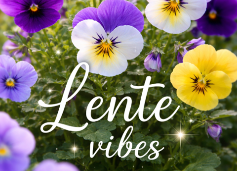 Bestel plantjes en steun ons jubileum