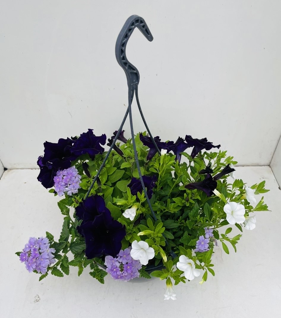 Help ons plantjes te verkopen